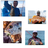 5 Pack Scented Soft Plastic Lumo Squid  140mm 115mm 95mm