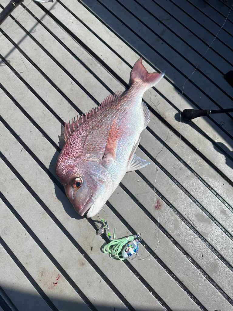 Big Size Red Snapper - 300g