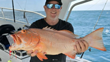 Baited Octo Jig Circle SS gangs  200g 300g
