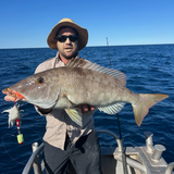 Baited Octo Jigs. Supa Glo. BKK - 4 Packs