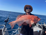 Baited Octo Jigs. Supa Glo. BKK 300g