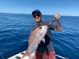 Canyon Runner / Fast Fall Baited Octo Jig 250g