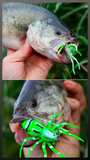 Soft Plastic Surface Spider Bait 8cm 6g Mustad
