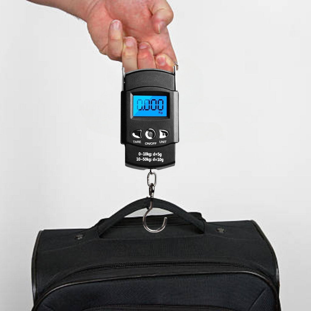 Electronic Balance Hand Scale, Fishing Precision Scale