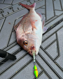 Canyon Runner / Fast Fall Baited Octo Jig 250g