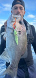 Flashing Backbone Jigs,150g 200g LED Disco light