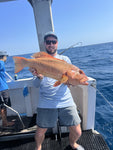 Baited Octo Jigs. Supa Glo. BKK - 4 Packs