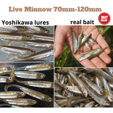 Yoshikawa Live Minnow 5/6 Packs 3D Soft Plastic Paddle Tails. 70mm-120mm.